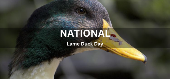 National Lame Duck Day [राष्ट्रीय लंगड़ा बत्तख दिवस]